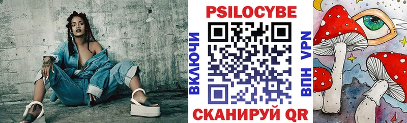 Купить где  Тосно  Псилоцибиновые грибы Cubensis 