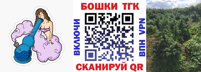 Канабис план  Купить закладки  Тосно 